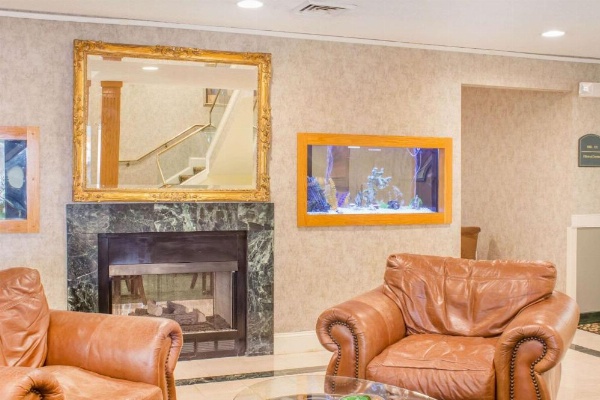 Econo Lodge Raleigh near Walnut Creek Amphitheatre image 8